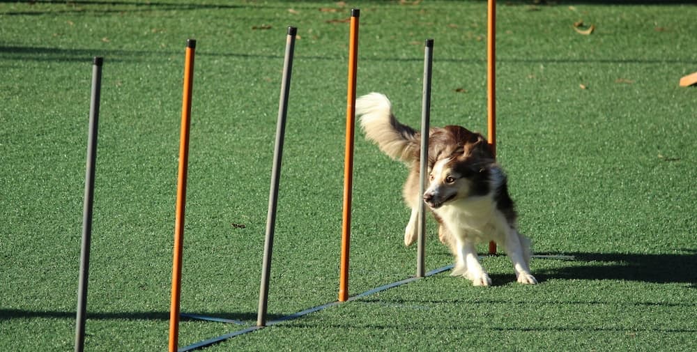 Getting projects DONE with agility